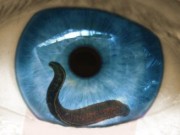eyeworm425
