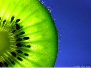 kiwi